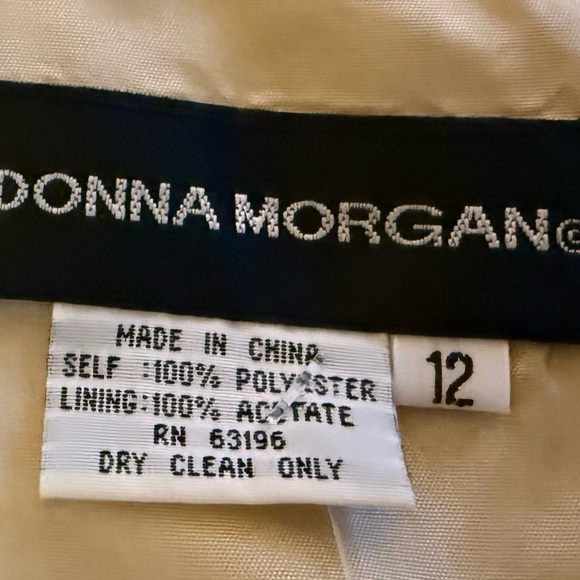 Vintage Donna Morgan Lace Overlay Formal Dress Champagne Ivory Size 12 - Picture 10 of 10